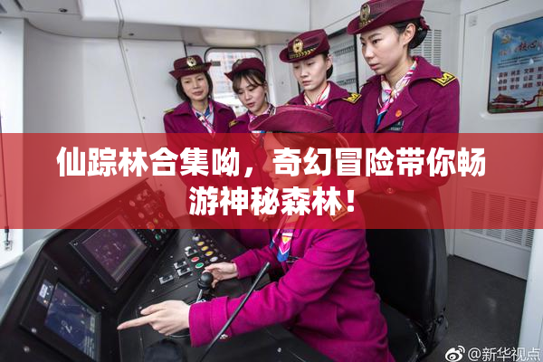 仙踪林合集呦，奇幻冒险带你畅游神秘森林！