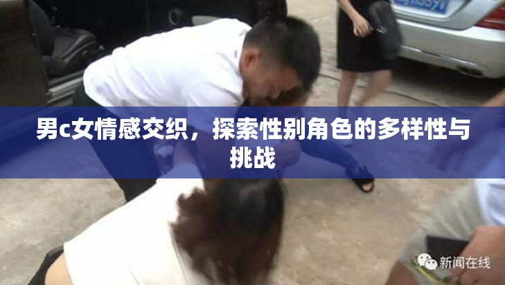 男c女情感交织，探索性别角色的多样性与挑战
