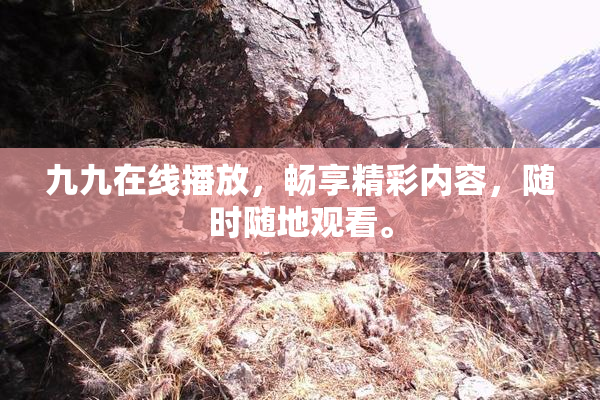 九九在线播放，畅享精彩内容，随时随地观看。