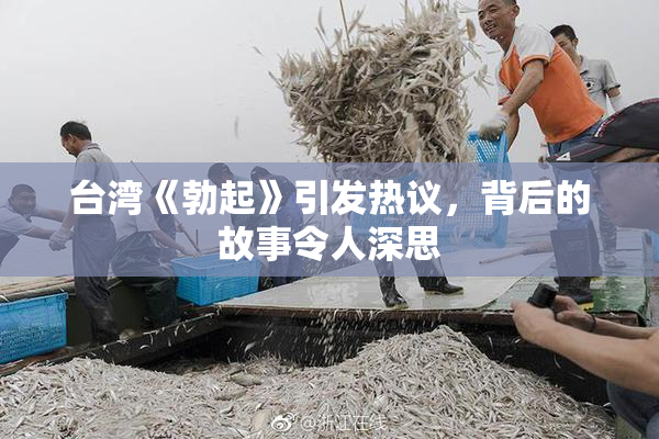 台湾《勃起》引发热议，背后的故事令人深思