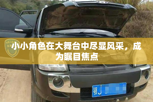 小小角色在大舞台中尽显风采，成为瞩目焦点