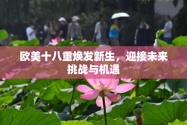 欧美十八重焕发新生，迎接未来挑战与机遇