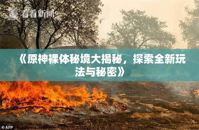 《原神裸体秘境大揭秘，探索全新玩法与秘密》
