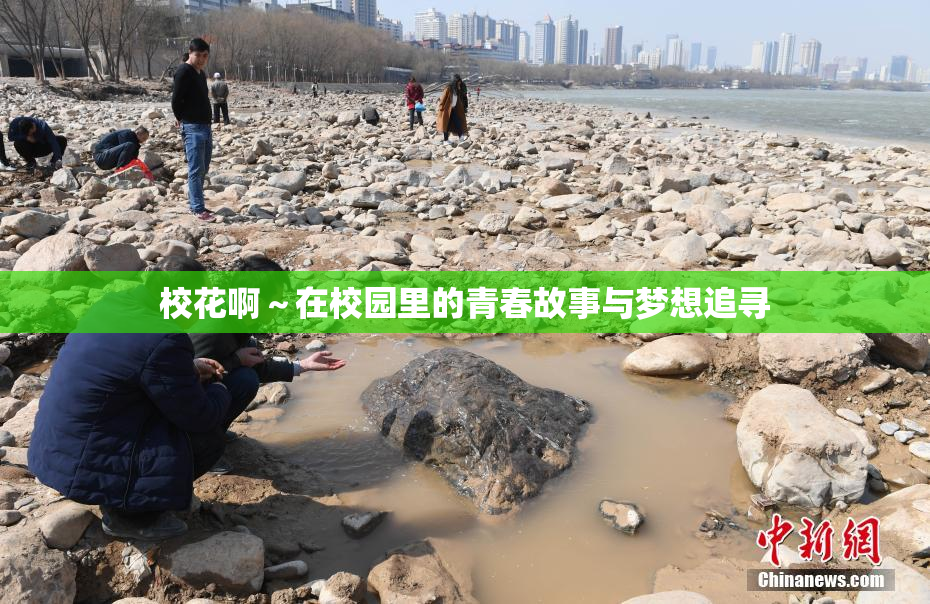 校花啊～在校园里的青春故事与梦想追寻