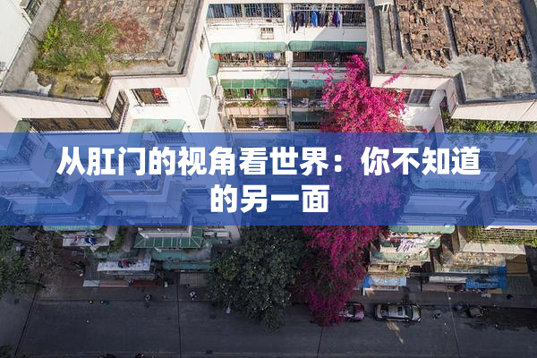 从肛门的视角看世界：你不知道的另一面