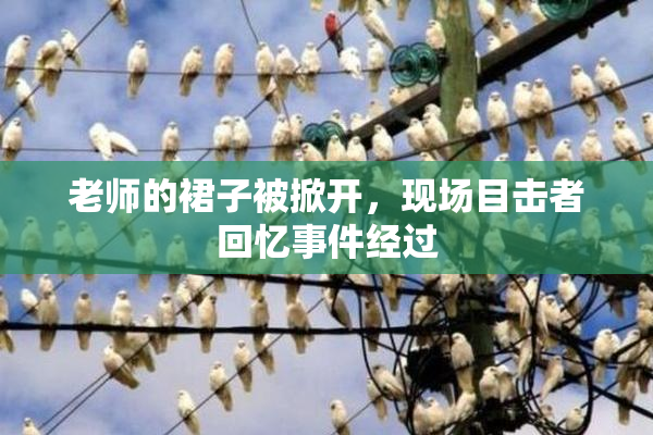 老师的裙子被掀开，现场目击者回忆事件经过