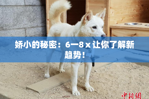 娇小的秘密：6一8ⅹ让你了解新趋势！
