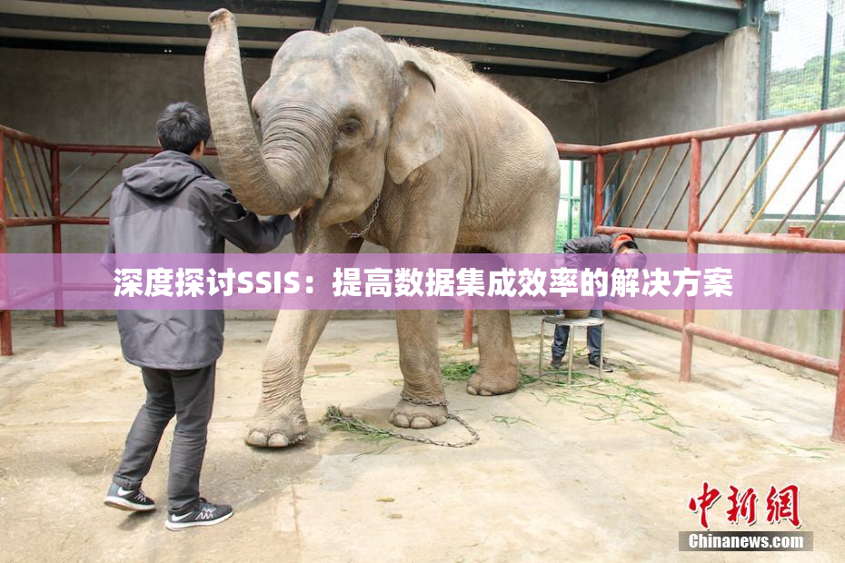 深度探讨SSIS：提高数据集成效率的解决方案