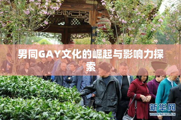 男同GAY文化的崛起与影响力探索