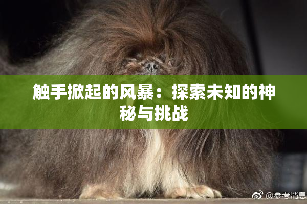 触手掀起的风暴：探索未知的神秘与挑战