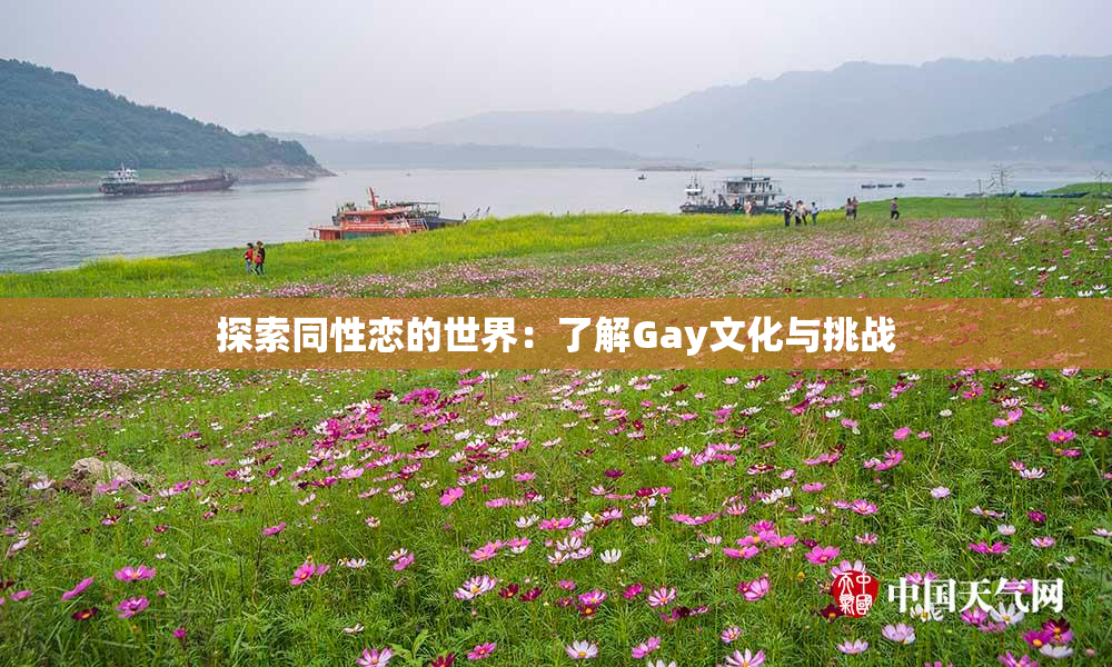 探索同性恋的世界：了解Gay文化与挑战