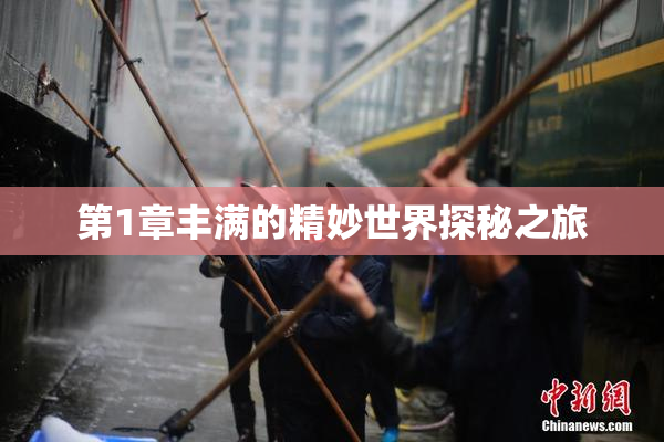 第1章丰满的精妙世界探秘之旅