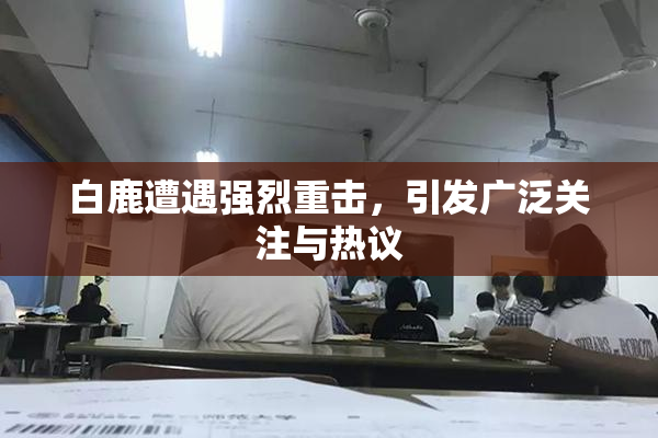 白鹿遭遇强烈重击，引发广泛关注与热议