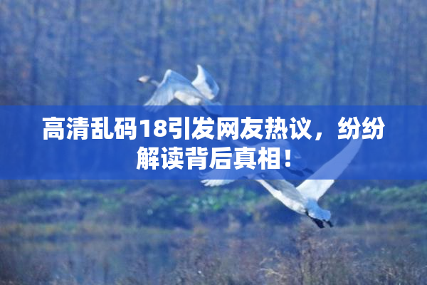 高清乱码18引发网友热议，纷纷解读背后真相！
