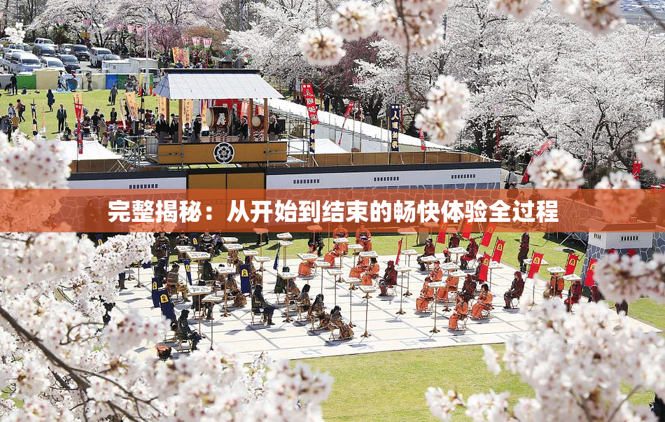 完整揭秘：从开始到结束的畅快体验全过程