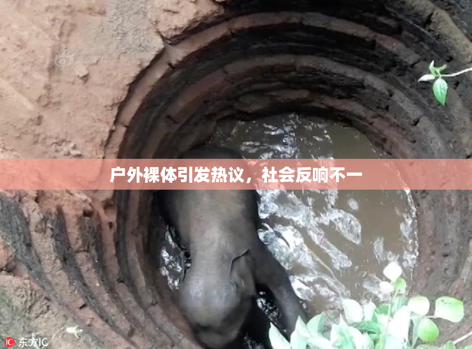 户外裸体引发热议，社会反响不一