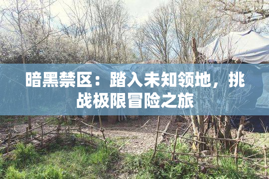 暗黑禁区：踏入未知领地，挑战极限冒险之旅