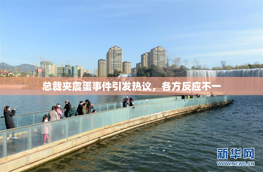 总裁夹震蛋事件引发热议，各方反应不一