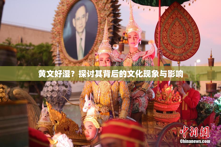 黄文好湿？探讨其背后的文化现象与影响