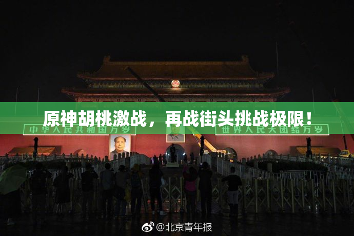 原神胡桃激战，再战街头挑战极限！