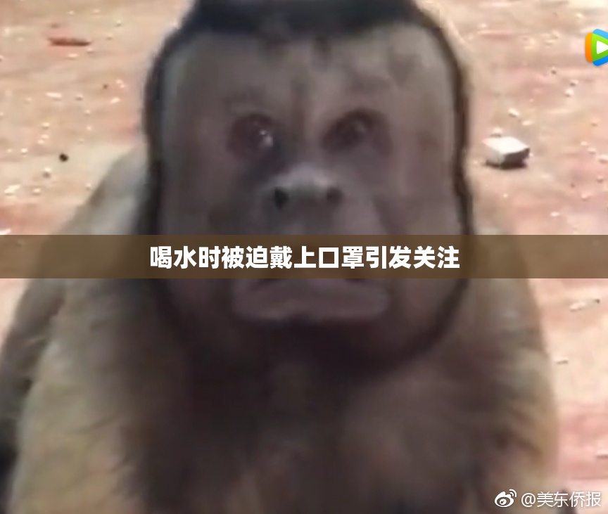 喝水时被迫戴上口罩引发关注