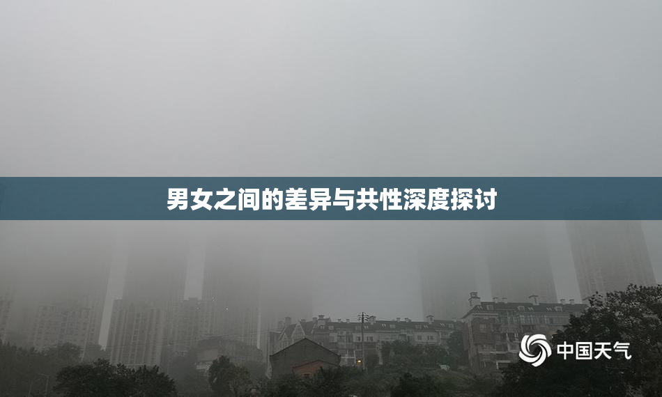 男女之间的差异与共性深度探讨