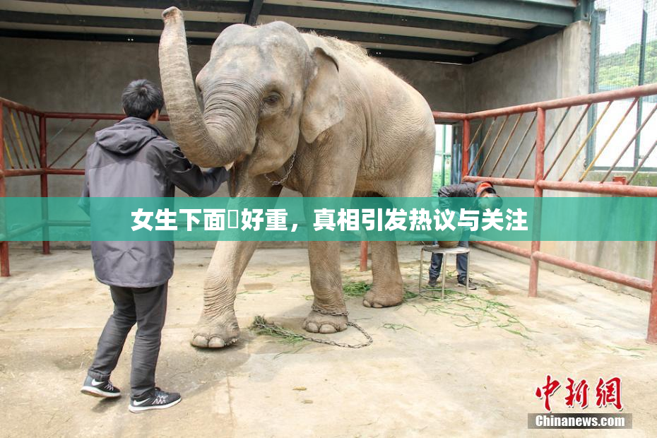 女生下面岀好重，真相引发热议与关注
