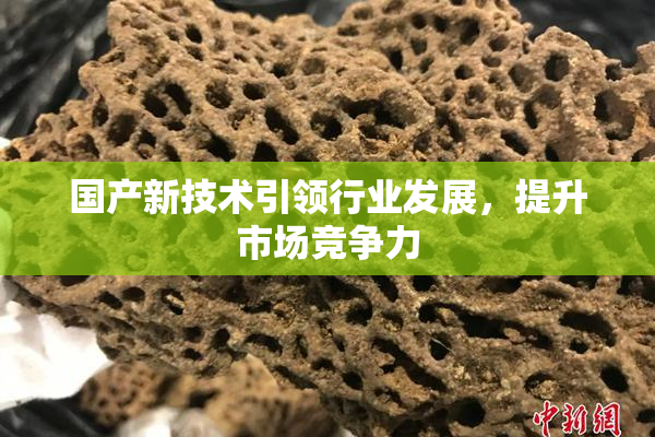 国产新技术引领行业发展，提升市场竞争力