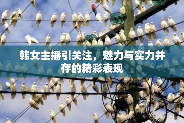韩女主播引关注，魅力与实力并存的精彩表现