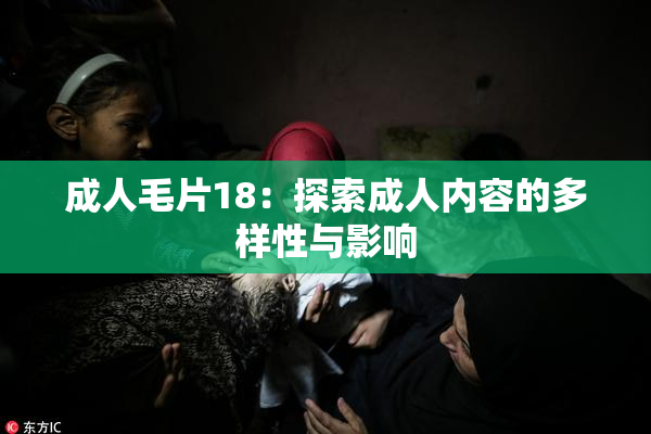 成人毛片18：探索成人内容的多样性与影响