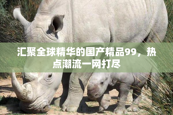 汇聚全球精华的国产精品99，热点潮流一网打尽