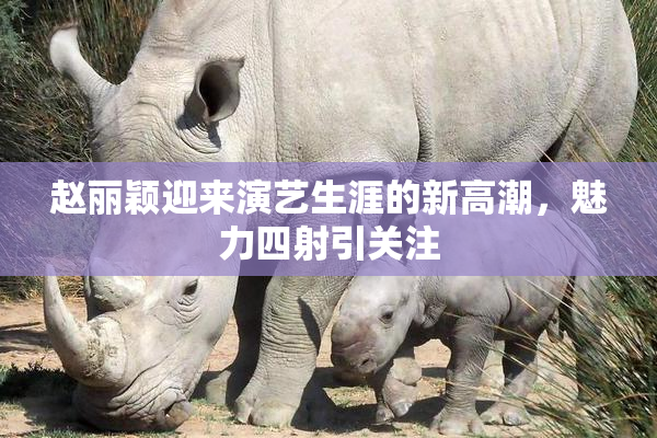 赵丽颖迎来演艺生涯的新高潮，魅力四射引关注