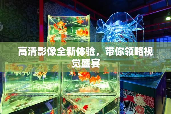 高清影像全新体验，带你领略视觉盛宴