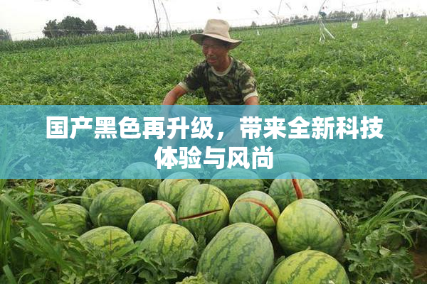 国产黑色再升级，带来全新科技体验与风尚
