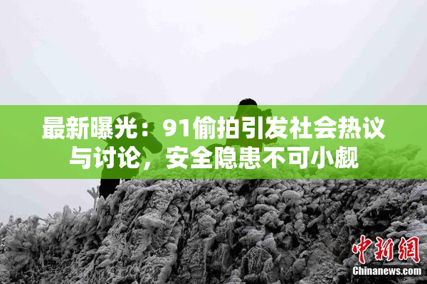最新曝光：91偷拍引发社会热议与讨论，安全隐患不可小觑