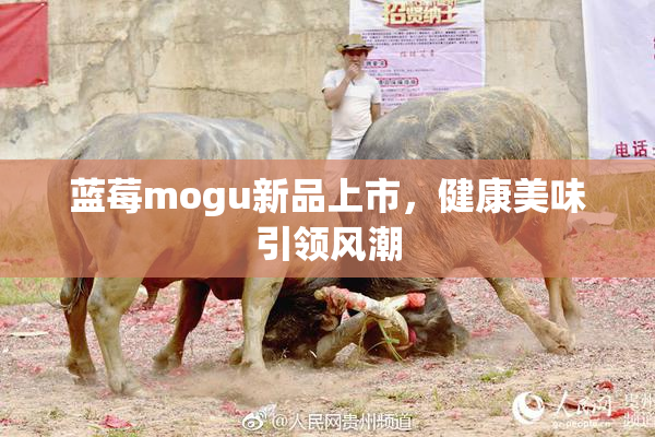 蓝莓mogu新品上市，健康美味引领风潮