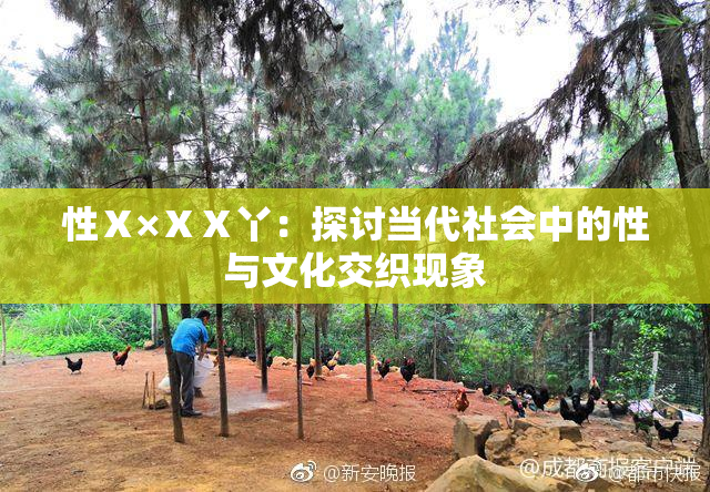 性Ⅹ×ⅩⅩ丫：探讨当代社会中的性与文化交织现象