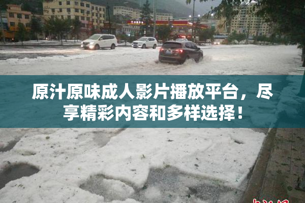 原汁原味成人影片播放平台，尽享精彩内容和多样选择！