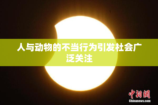 人与动物的不当行为引发社会广泛关注