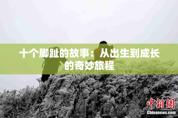 十个脚趾的故事：从出生到成长的奇妙旅程