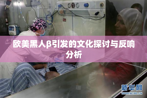 欧美黑人β引发的文化探讨与反响分析