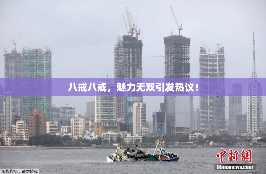 八戒八戒，魅力无双引发热议！