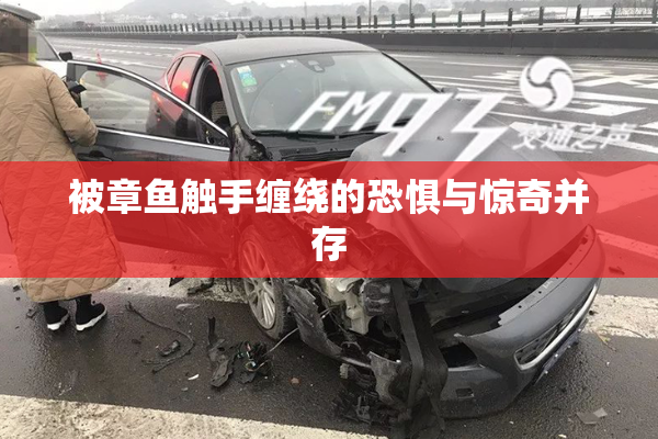 被章鱼触手缠绕的恐惧与惊奇并存