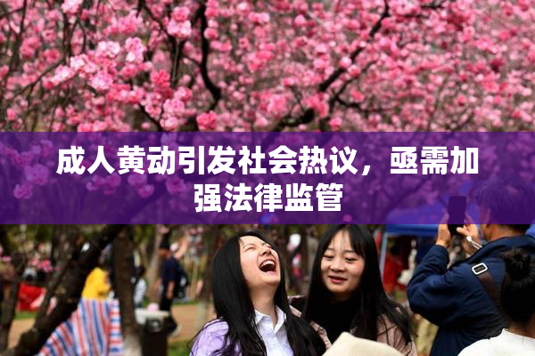 成人黄动引发社会热议，亟需加强法律监管