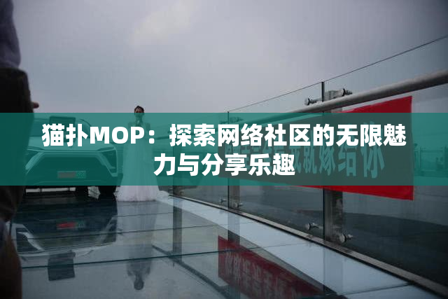 猫扑MOP：探索网络社区的无限魅力与分享乐趣