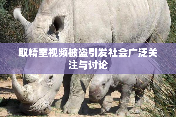 取精室视频被盗引发社会广泛关注与讨论