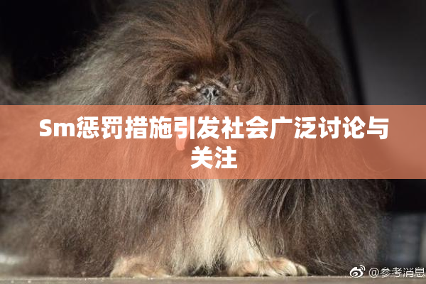 Sm惩罚措施引发社会广泛讨论与关注