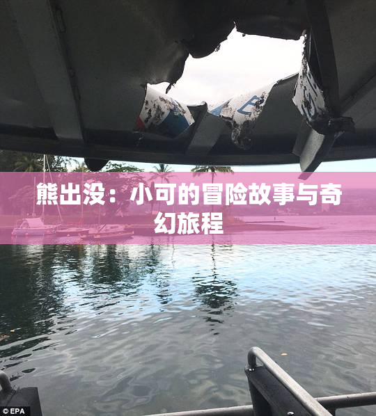 熊出没：小可的冒险故事与奇幻旅程