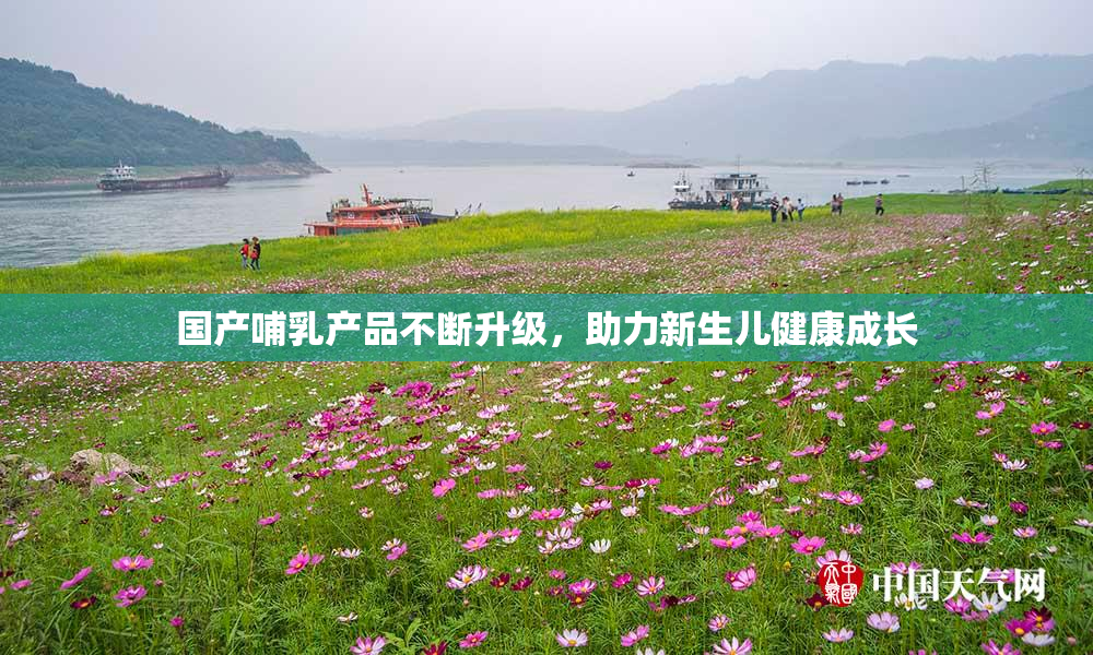 国产哺乳产品不断升级，助力新生儿健康成长