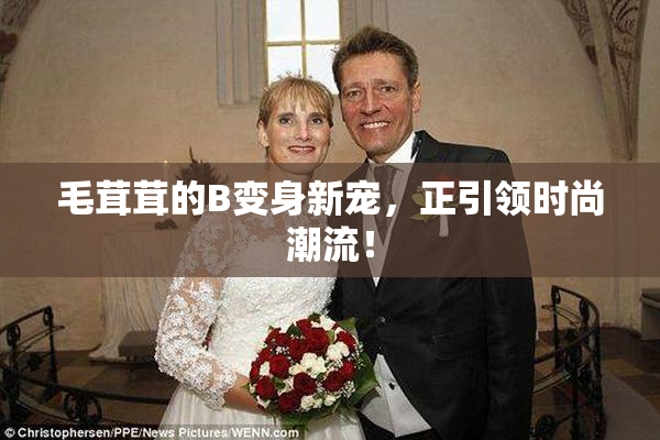 毛茸茸的B变身新宠，正引领时尚潮流！